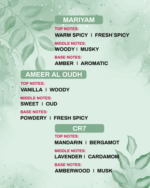 MARIYAM | CR7 | AMEER AL OUDH | 6ML - Image 2